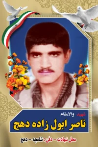 ناصر ابول زاده