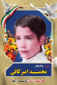 Home محمد امیرکافی