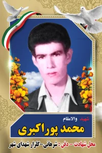 Home محمد پوراکبری